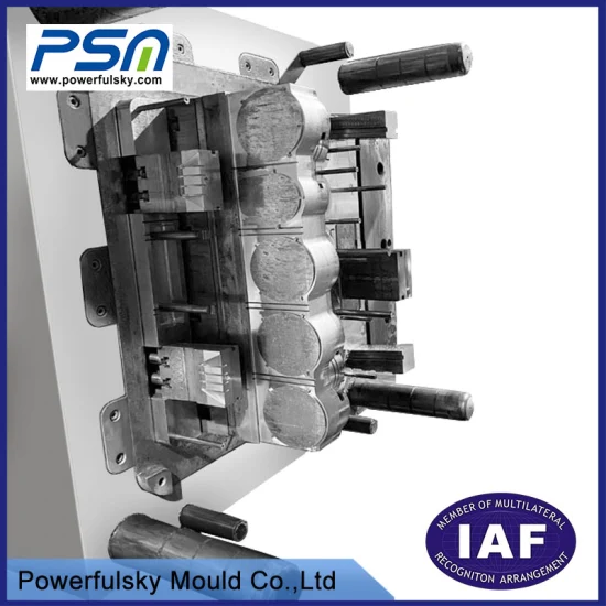 Precision Plastic Injection Mold for Medical Device Component